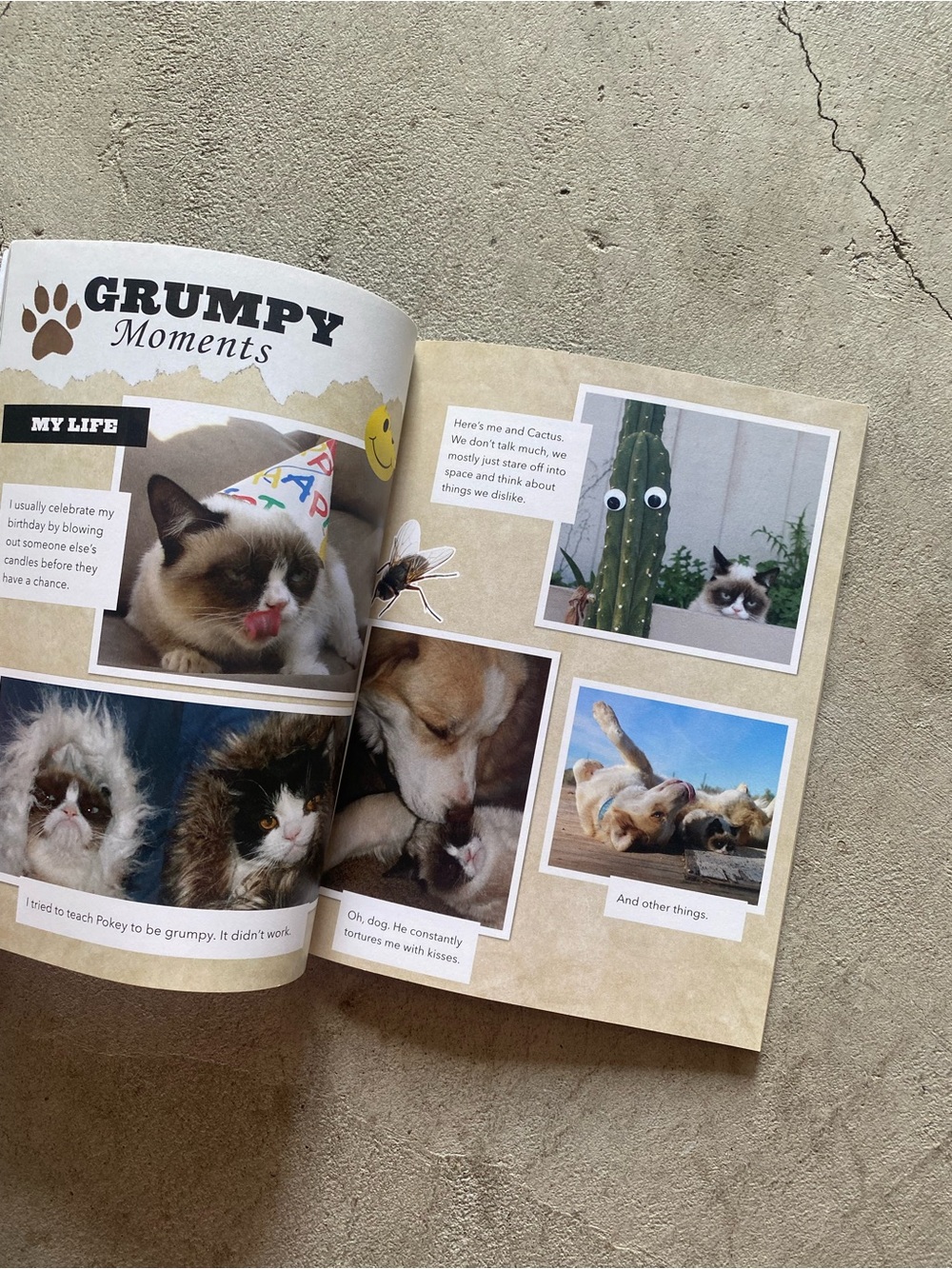 Grumpy Cat - ‘A Grumpy Book’ - Picture 2 of 3